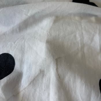 Vestel Çamaşır Makinesi Sürekli Arızalı, Sorunlar Çözülmüyor Ve Değişim Talebim Dikkate Alınmıyor