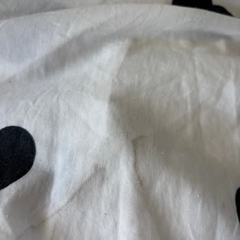 Yeni Alınan Çamaşır Makinesindeki Sürekli Arızalar Ve Yetersiz Servis Desteği Nedeniyle Mağduriyet