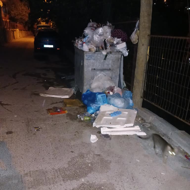 Düzenli Çöp Toplanmaması Mahallede Kötü Koku Ve Sağlık Riski Oluşturuyor