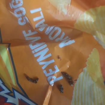 Ruffles Cips Paketinden Böcek Çıkması ve Yetersiz Müşteri Hizmeti