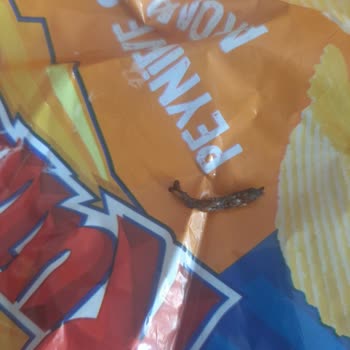 Ruffles Cips Paketinden Böcek Çıkması ve Yetersiz Müşteri Hizmeti