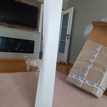 Kusurlu Ürün, İlgisiz Hizmet: Migros'ta Çözüm Bulamıyorum