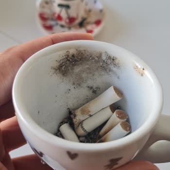 Eksik Ve Kötü Temizlik Hizmeti Sonrası İlgisiz Ve Saygısız Müşteri Desteği