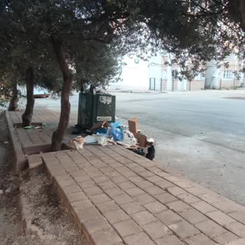 Kırık Çöp Konteyneri Nedeniyle Kötü Koku Ve Sinek Sorunu, Belediyeden Çözüm Bekliyorum