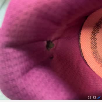 I Face Heel Tear on Skechers GO Run Elevate 2.0 After 2 Months of Light Use