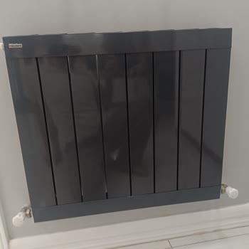 Bautherm Peteklerde Erken Delinme Ve Yetersiz Müşteri Hizmeti Deneyimi