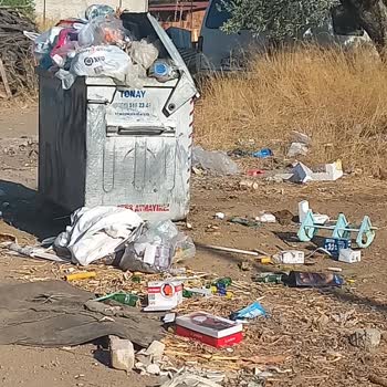 Kadıköy Mahallesi'nde İhmal Edilen Çöp Konteyneri Sorunu Ve Çözüm Beklentisi