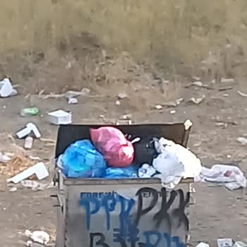 Kadıköy Mahallesi'nde İhmal Edilen Çöp Konteyneri Sorunu Ve Çözüm Beklentisi