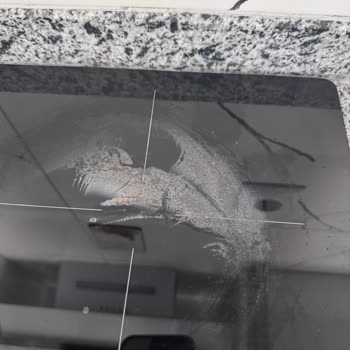 Yanlış Renk, İlgisiz Servis Ve Çözüm Sunulmayan Alveus Ocak Deneyimi