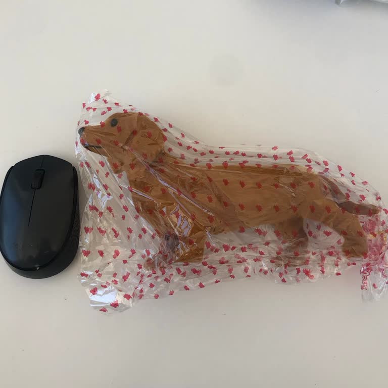 Peluştoy, Peluş Köpek Siparişimde Ürün Farklı Geldi Ve İade Taleplerim Yanıtsız Kaldı!