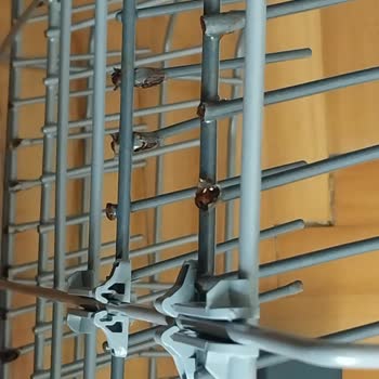 Arçelik Bulaşık Makinesi Alt Sepet Tellerinde Hızlı Paslanma Ve Dayanıksız Parça Sorunu