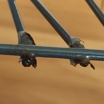 Arçelik Bulaşık Makinesi Alt Sepet Tellerinde Hızlı Paslanma Ve Dayanıksız Parça Sorunu