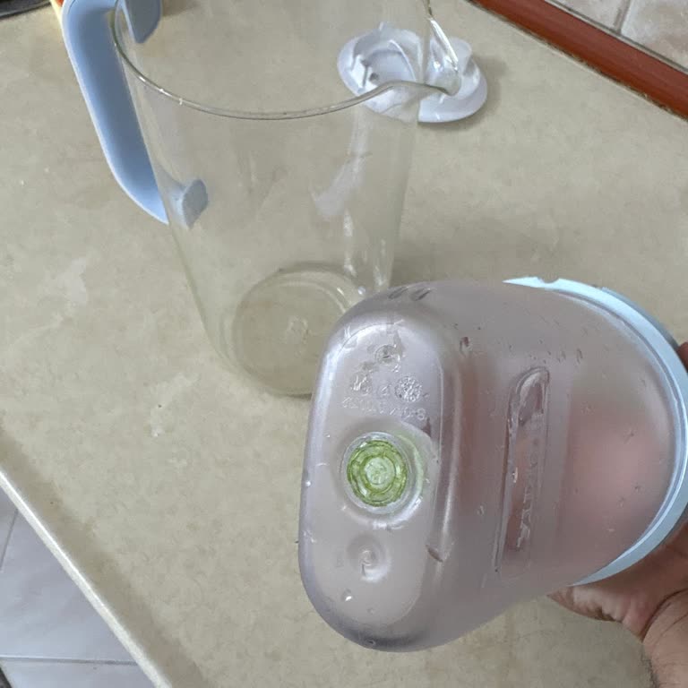 Brita Cam Sürahide Temizlenemeyen Yosunlaşma Sorunu Mağduriyeti