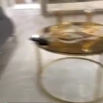 İstikbal Koltukta Renk Akması
