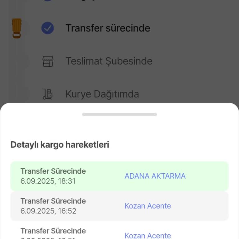 Sürat Kargo Teslimat Gecikmesi Ve Müşteri Hizmetlerinde Çözüm Eksikliği