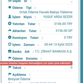 GPay Üzerinden Yaptığım Oyun Alımında İade Sürecinde Bilgilendirme Ve Güvenlik Sorunları
