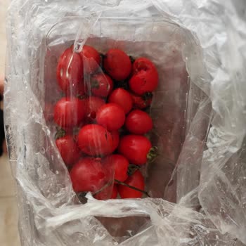 Migros Hemen'den Çürük Ve Küflü Domates Teslimatı, Müşteri Talebine Dönüş Yapılmadı