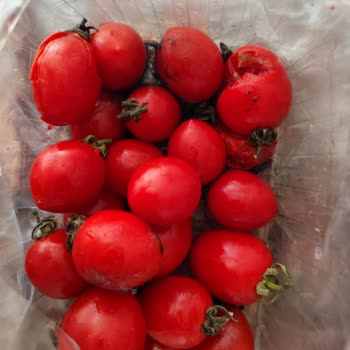 Migros Hemen'den Çürük Ve Küflü Domates Teslimatı, Müşteri Talebine Dönüş Yapılmadı