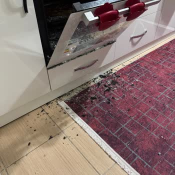 Fırın Camı Aniden Patladı, Ücretsiz Değişim Talep Ediyorum