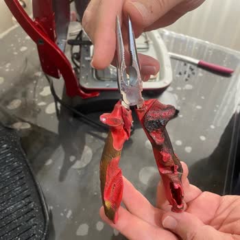 Tost Makinesinden Gelen Ağır Koku Ve İçinden Çıkan Yabancı Cisim Şoku