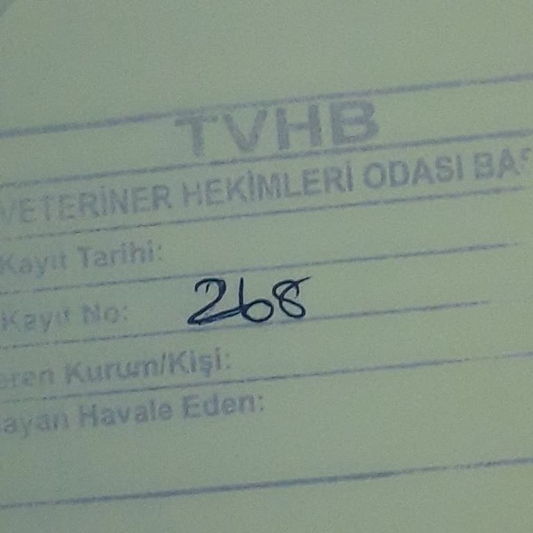 Kritik Durumda Kedime Ziyaret İzni Verilmedi, Sonuçsuz Bekleyiş Yaşıyorum