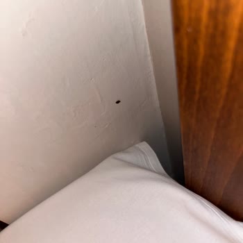 Otel Odasında Böcekler Ve Eksik İade Nedeniyle Mağduriyet Yaşadım