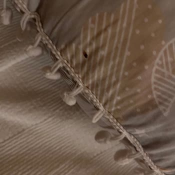 Otel Odasında Böcekler Ve Eksik İade Nedeniyle Mağduriyet Yaşadım