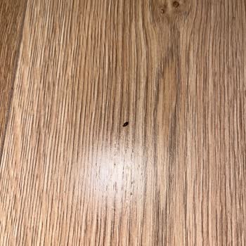 Otel Odasında Böcekler Ve Eksik İade Nedeniyle Mağduriyet Yaşadım