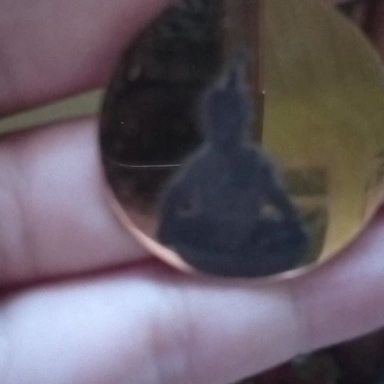 Instagram Üzerinden Alınan Kolyenin Kalitesi Reklamdan Farklı Çıktı