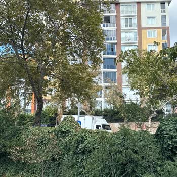 Aynı Caddede Fiber Altyapı Varken Binamıza Yıllardır Getirilmemesi Mağduriyet Yaratıyor