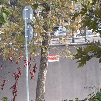 Aynı Caddede Fiber Altyapı Varken Binamıza Yıllardır Getirilmemesi Mağduriyet Yaratıyor