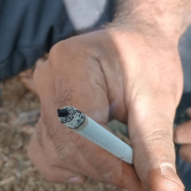 Parliament Sigaradan Çıkan Odun Parçaları Maddi Zarara Yol Açtı