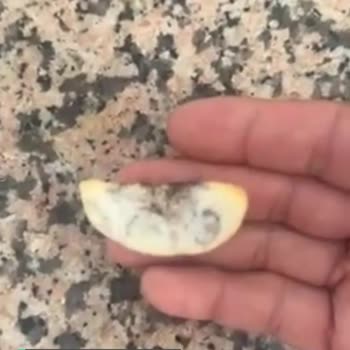 Tarım Kredi Kooperatif Market Elma Dilim Patatesten Yabancı Madde Çıktı!
