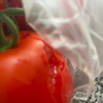 Siparişim Geç Teslim Edildi Ve Ürünler Çürük Çıktı