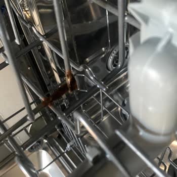 Vestel BM 401 X Bulaşık Makinesi Çekmecelerinde Kısa Sürede Paslanma Ve Kırıklar Oluştu