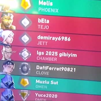 Riot Games Duy Sesimi