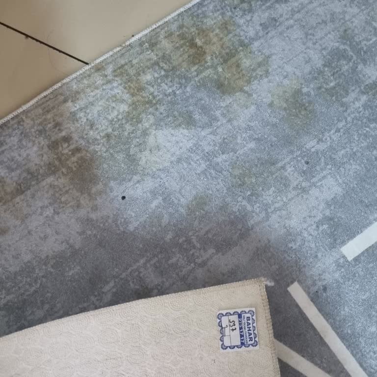 Teslim Edilen Halım Yıkanmadan Lekeli Şekilde Geri Verildi