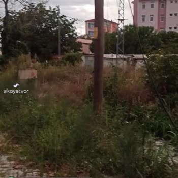 Türk Telekom "Genel Arıza" Diyerek Geçiştiriyor