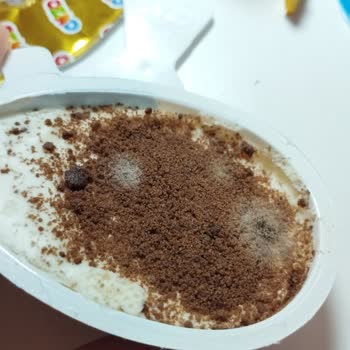 Küflü Ozmo Yumurta İle Karşılaştım, Açıklama Bekliyorum