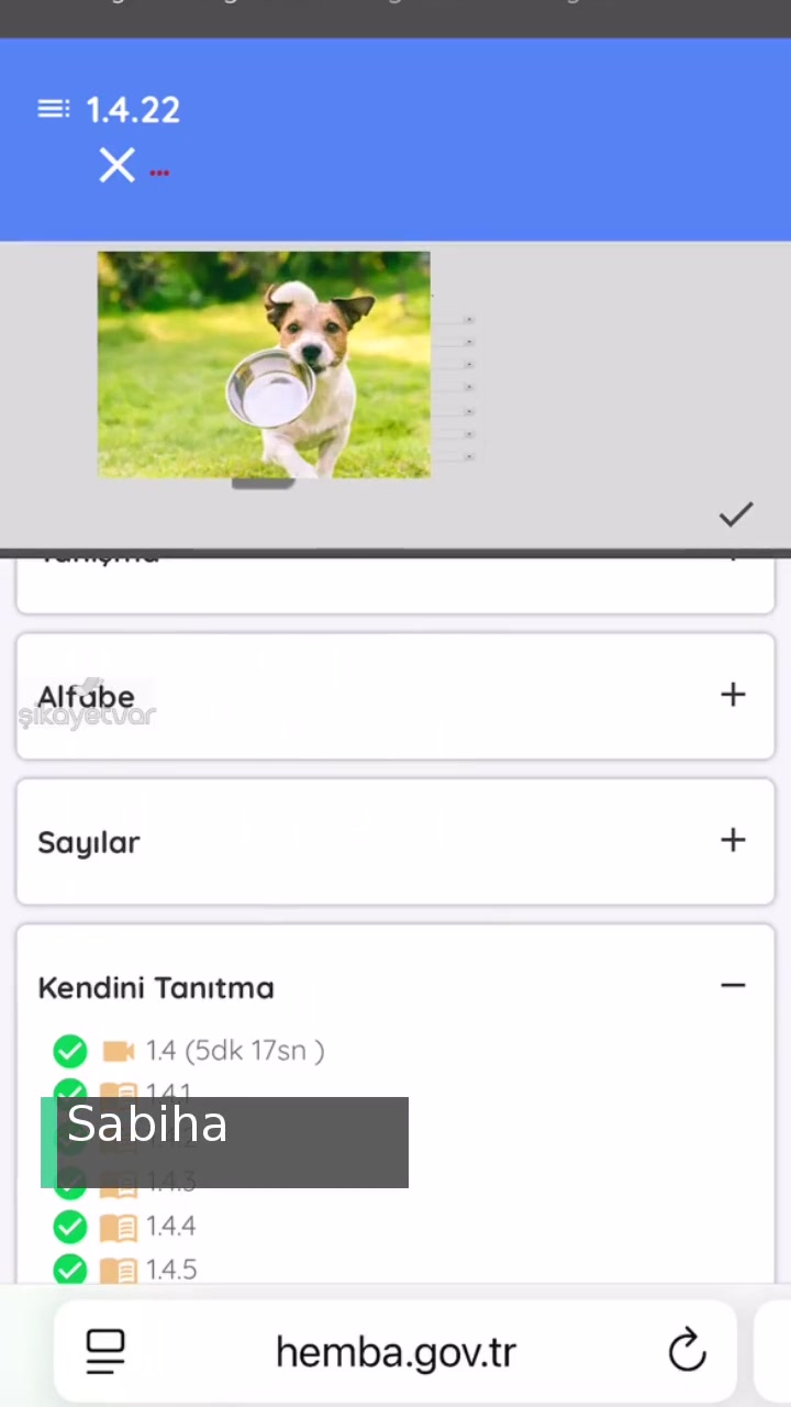Halk Eğitimi Merkezleri Bilişim Ağı İlerlememe Yardımcı Olmasını İstiyorum videonun kapak resmi