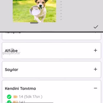 Halk Eğitimi Merkezleri Bilişim Ağı İlerlememe Yardımcı Olmasını İstiyorum