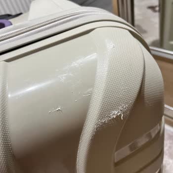 GAP Turu Sırasında Valizim Zarar Gördü, Mağduriyetimin Giderilmesini İstiyorum