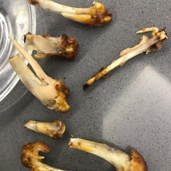 Aldığım Tavukta Kalın Tüyler Ve Kırık Kemikler Büyük Hayal Kırıklığı Yaşattı