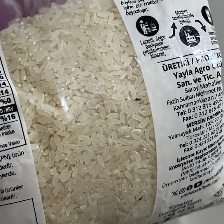 Satın Aldığım Pirinçte Böcek Çıkması Nedeniyle Hayal Kırıklığı Ve Hijyen Sorunu