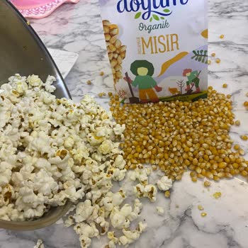 Organik Mısırda Küf Şoku: Sağlığımız Tehlikede