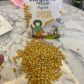 Organik Mısırda Küf Şoku: Sağlığımız Tehlikede