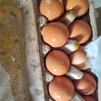 Kırık Yumurta, Çürük Ürün Ve İlgisiz Müşteri Hizmetleriyle Yaşanan Mağduriyet