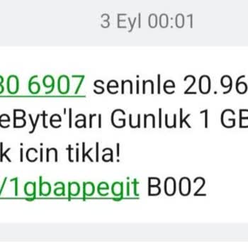 Puanlarım İzinsiz Aktarıldı, Güvenlik Açığı Ve Mağduriyetim Giderilmiyor