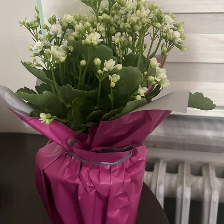 Siparişim Onaysız Değiştirildi Mağdur Edildim