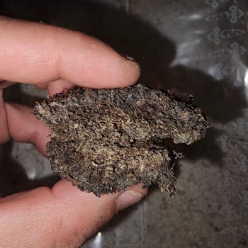 Çaykur Tiryaki Çayında Küf Ve Topaklanma Şoku!